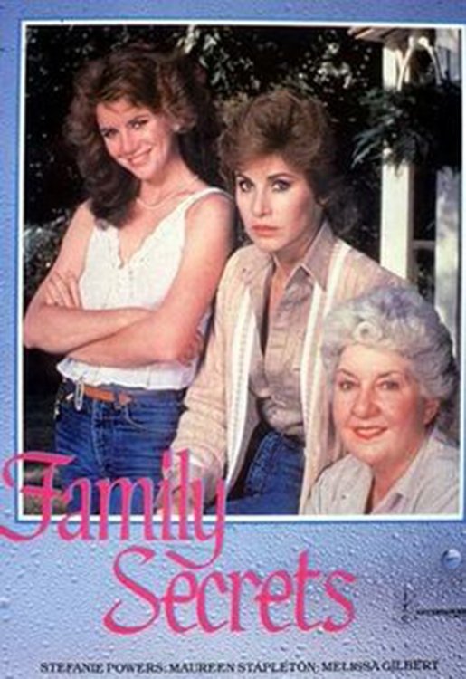 Постер Family Secrets